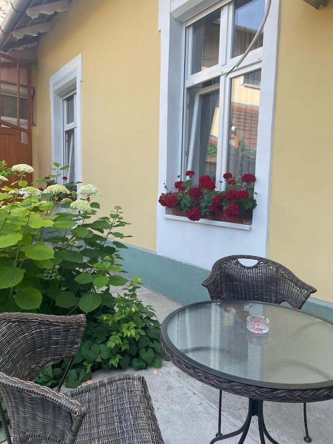 Apartment Milijana Subotica Ngoại thất bức ảnh