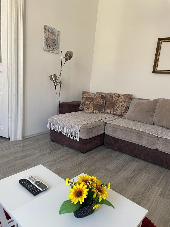 Apartment Milijana Subotica Ngoại thất bức ảnh