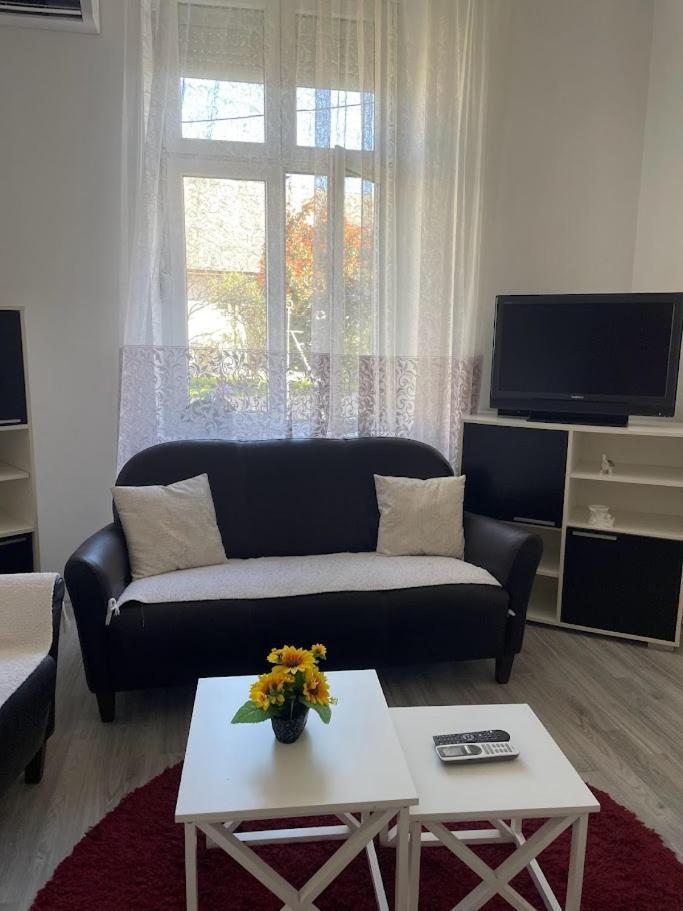 Apartment Milijana Subotica Ngoại thất bức ảnh